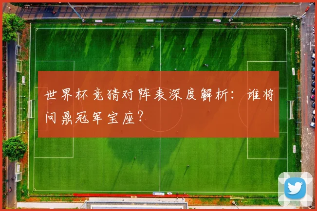 世界杯竞猜对阵表深度解析：谁将问鼎冠军宝座？