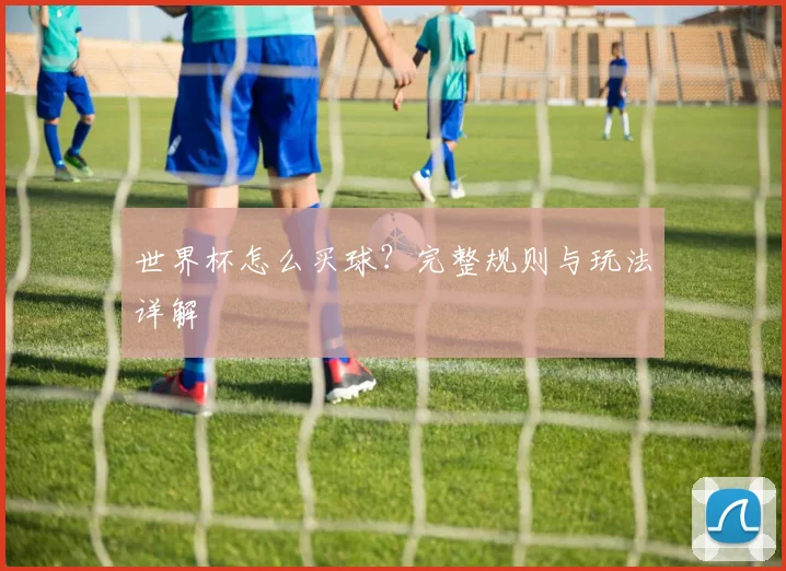世界杯怎么买球？完整规则与玩法详解