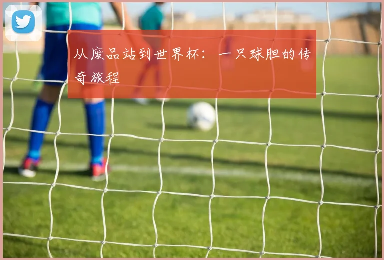 从废品站到世界杯:一只球胆的传奇旅程