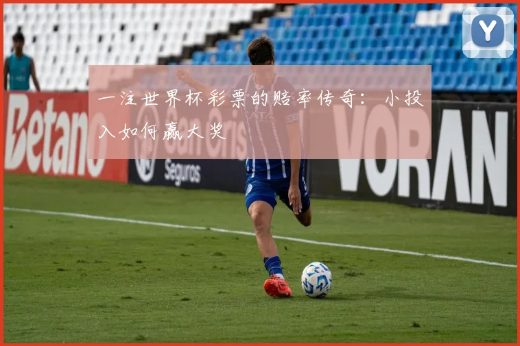一注世界杯彩票的赔率传奇：小投入如何赢大奖