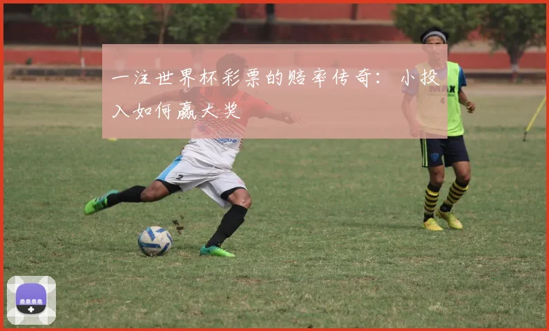 一注世界杯彩票的赔率传奇：小投入如何赢大奖