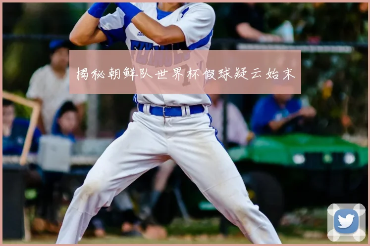 揭秘朝鲜队世界杯假球疑云始末