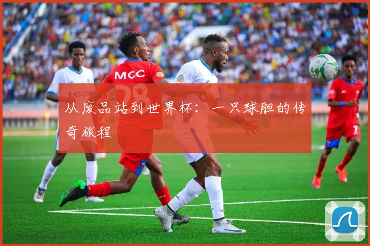 从废品站到世界杯:一只球胆的传奇旅程